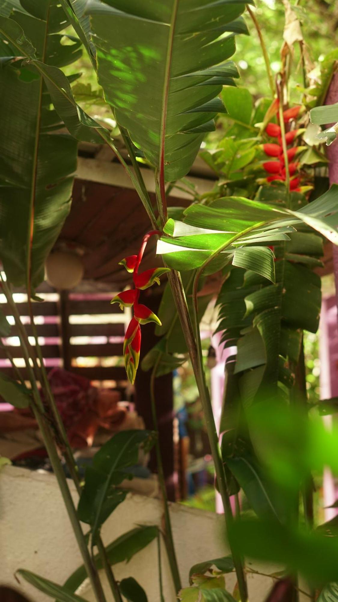 Poa Eco Hostel Porto Alegre Ngoại thất bức ảnh