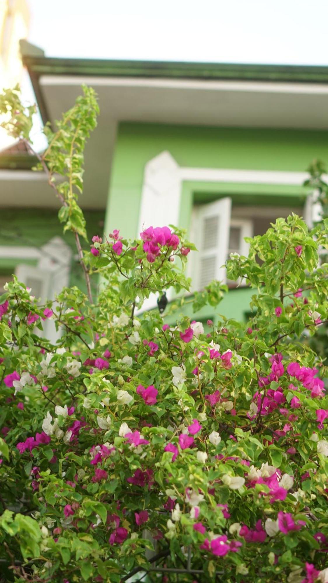 Poa Eco Hostel Porto Alegre Ngoại thất bức ảnh
