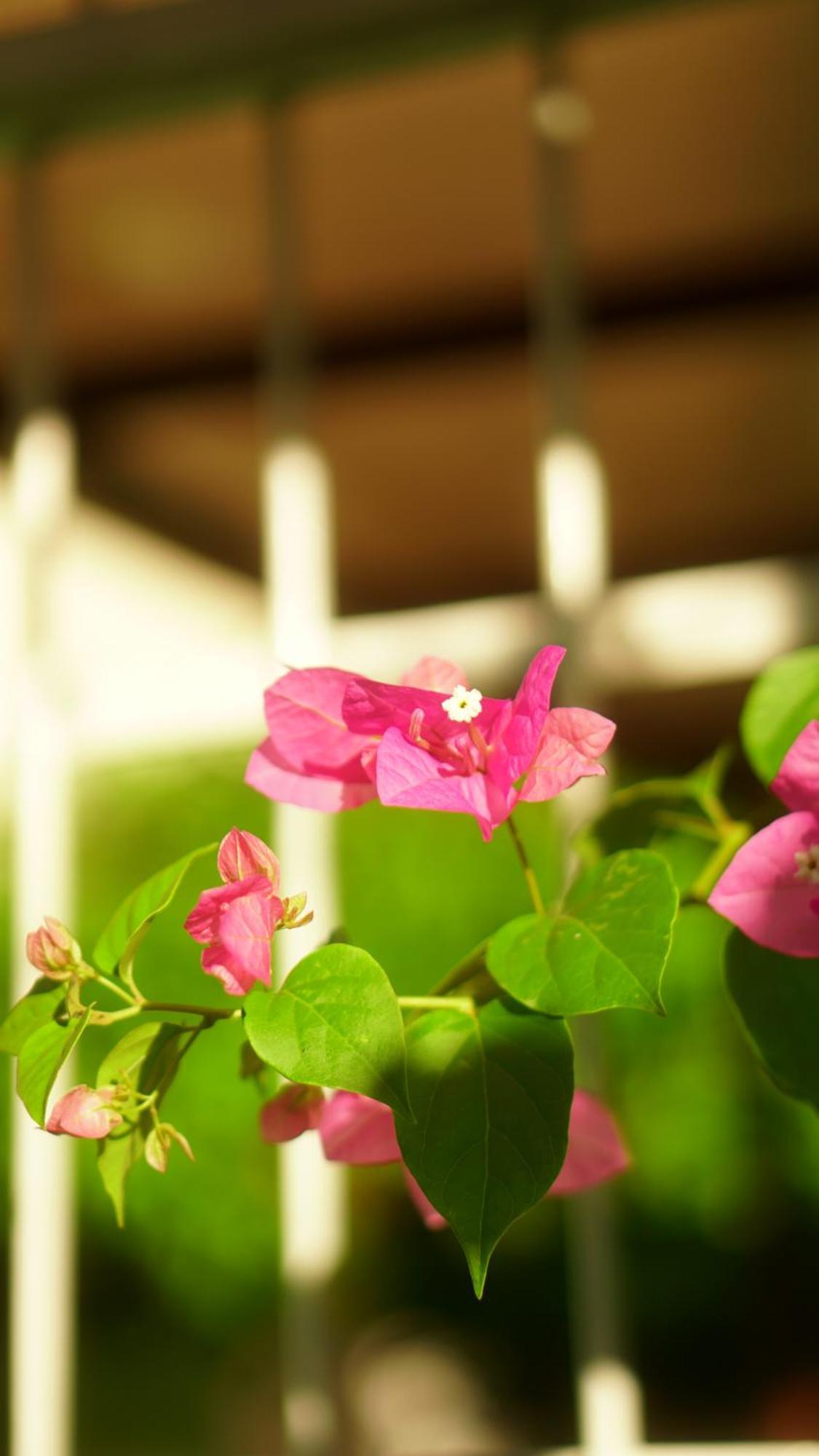 Poa Eco Hostel Porto Alegre Ngoại thất bức ảnh