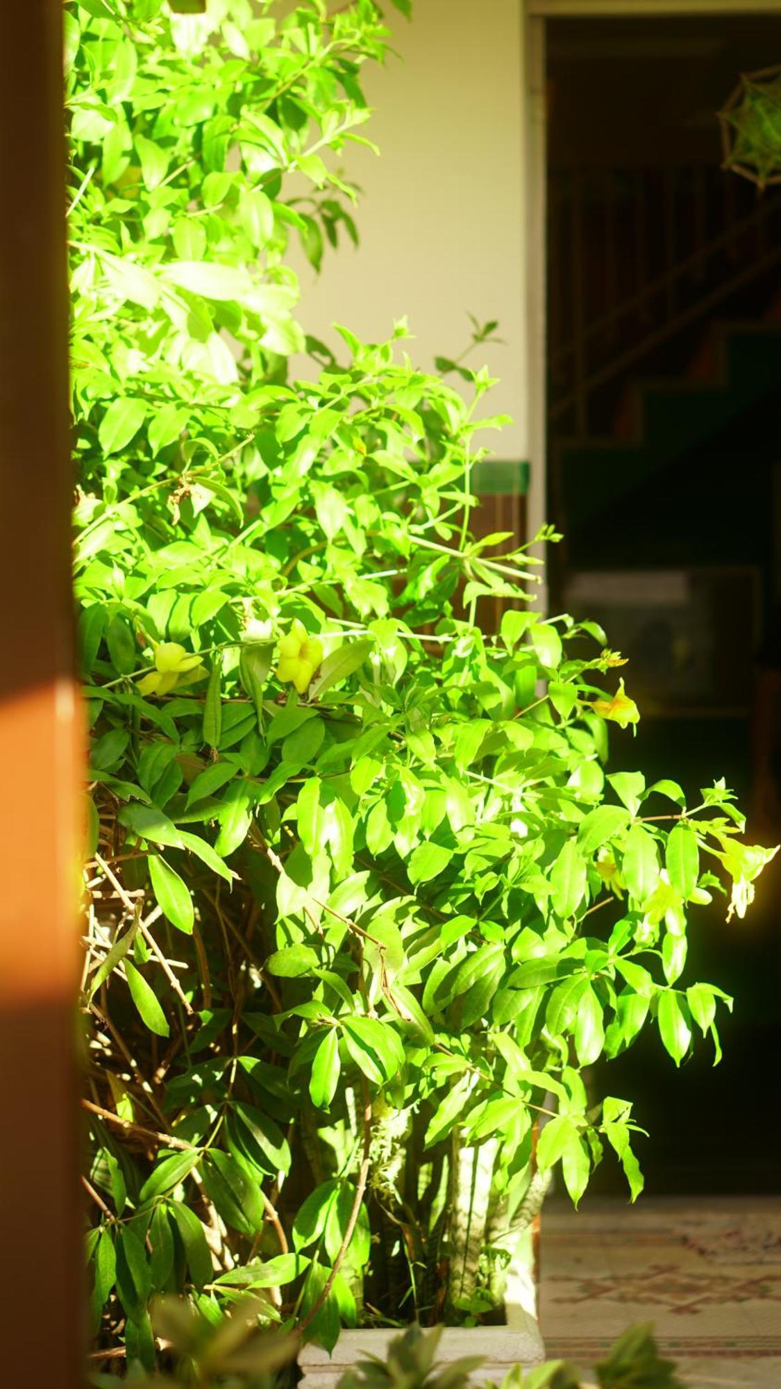 Poa Eco Hostel Porto Alegre Ngoại thất bức ảnh