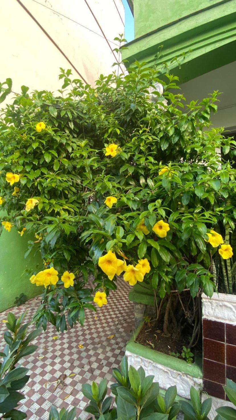 Poa Eco Hostel Porto Alegre Ngoại thất bức ảnh