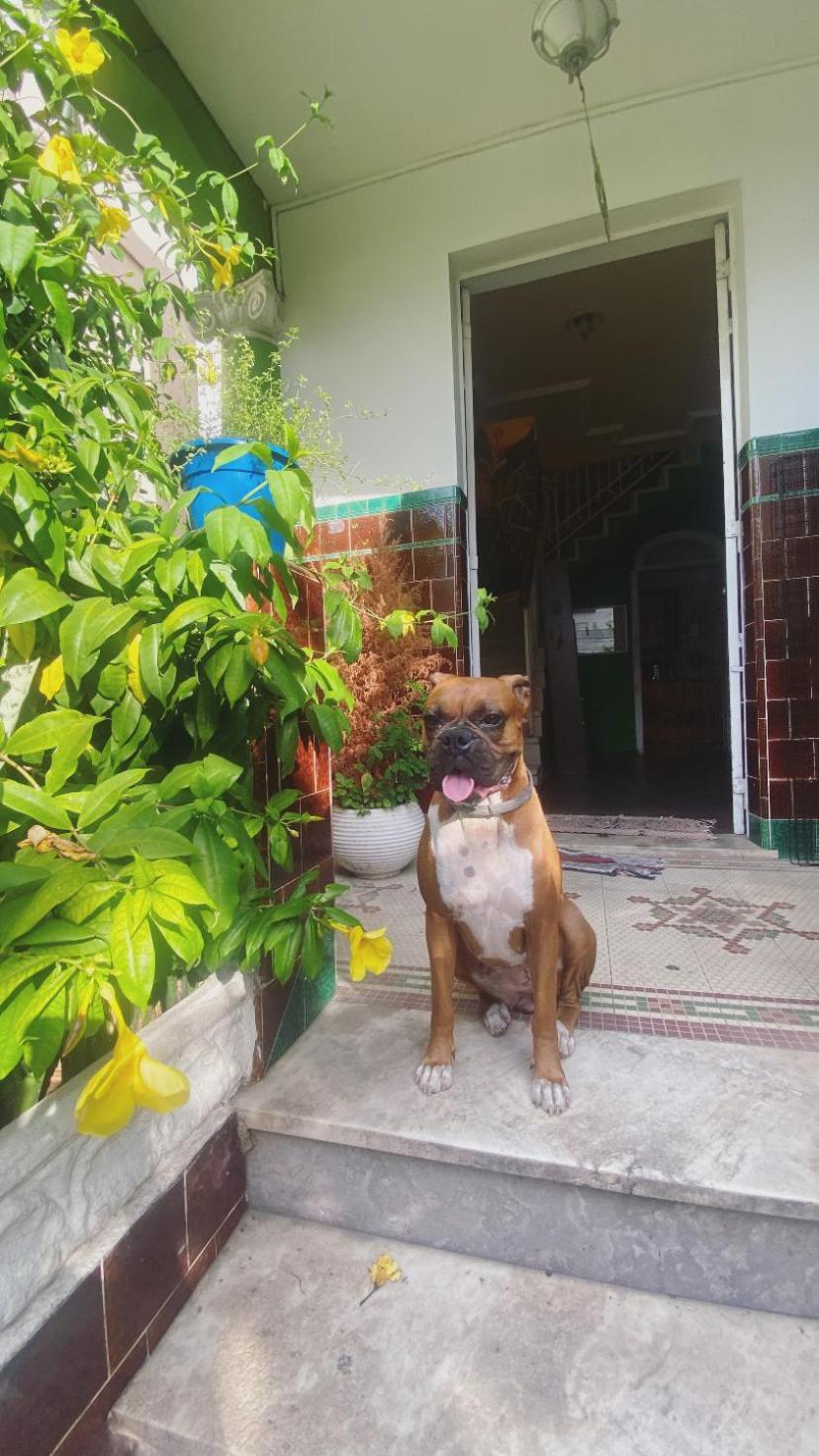 Poa Eco Hostel Porto Alegre Ngoại thất bức ảnh